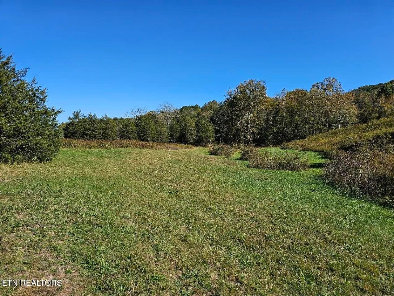 Property from 0 Shoreline Vista - KW - Sharps Chapel, Tennessee, 37866