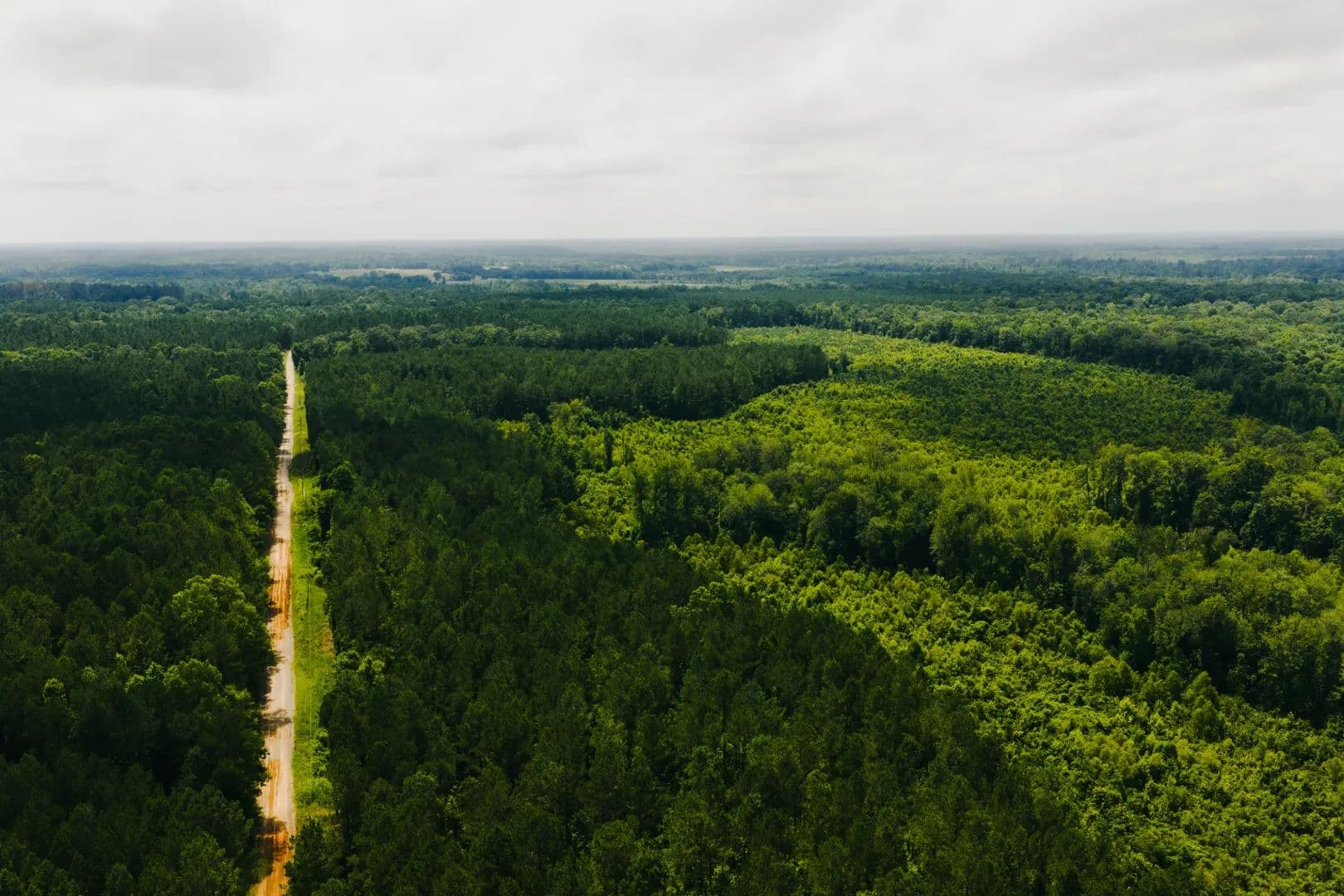 149 Acres in Newton County, MS - Newton, Mississippi, 39345