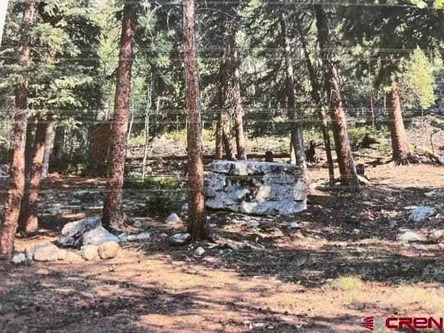 16.14 Acres of Land for Sale in Pitkin, Colorado - Pitkin, Colorado, 81241