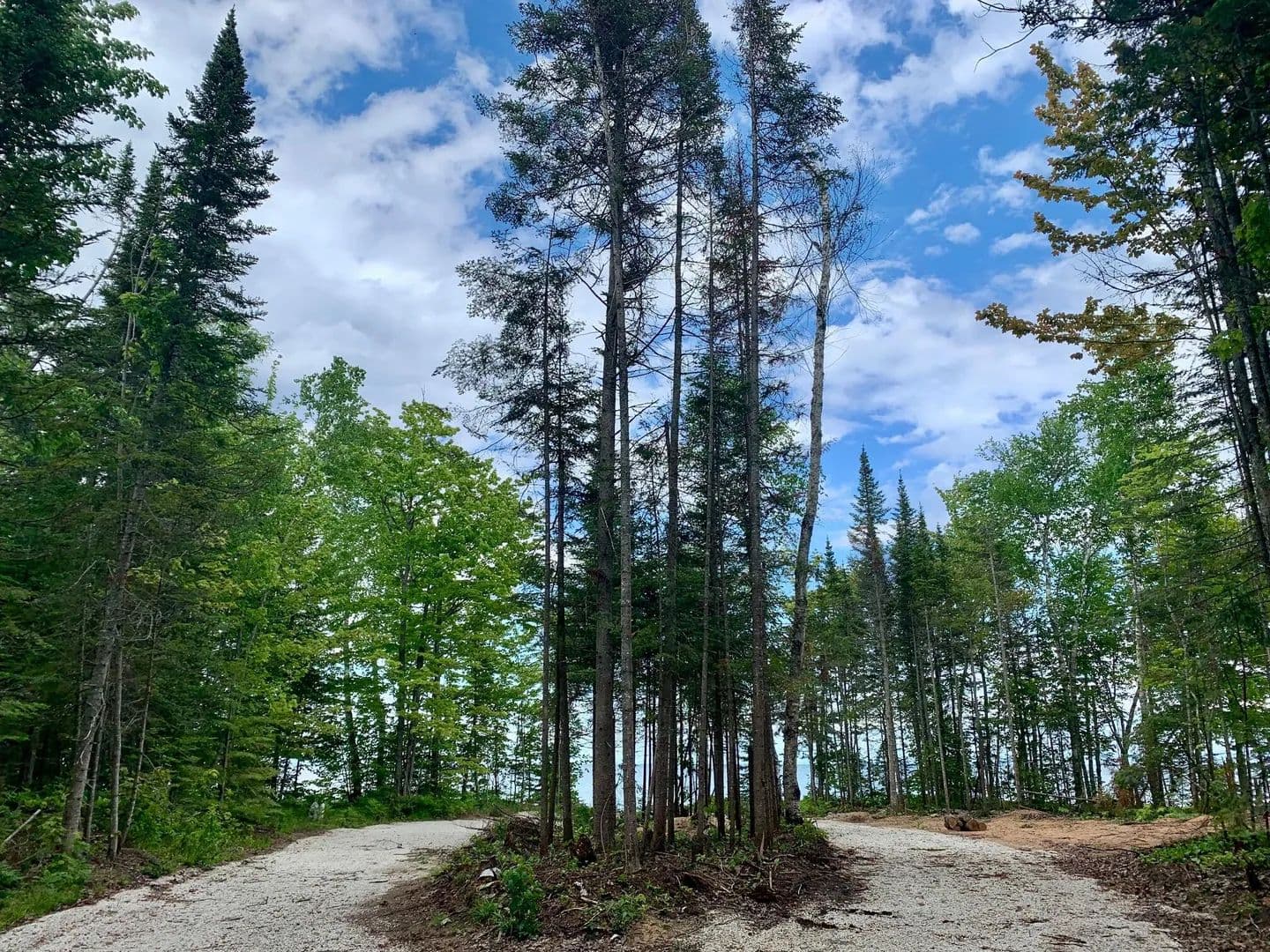 Property from 9016 N Whitefish Point RD - KW - Paradise, Michigan, 49768