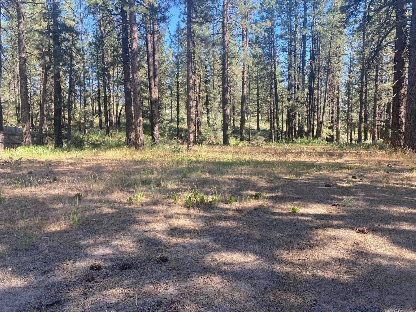 Property from 000 Spruce Avenue - KW - Portola, California, 96122