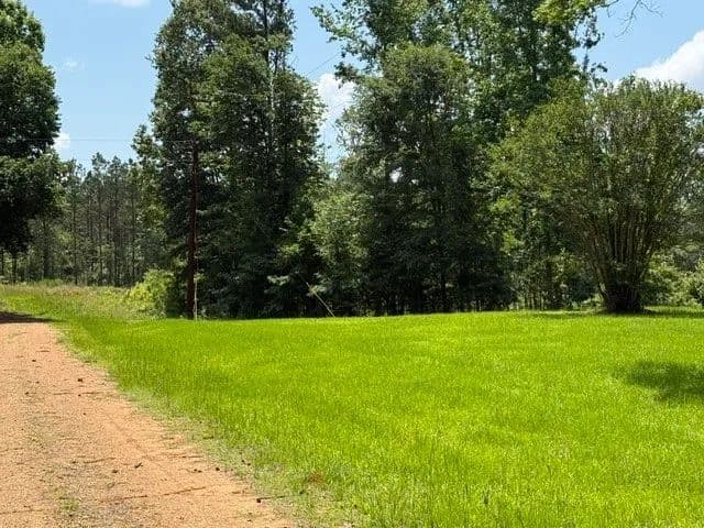 30.28 Acres of Land for Sale in Arcadia, Louisiana - Arcadia, Louisiana, 71001