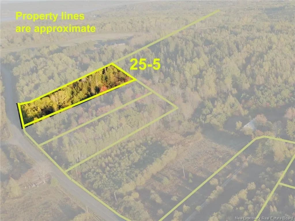 Land for Sale in Hillsborough, NB - land for sale