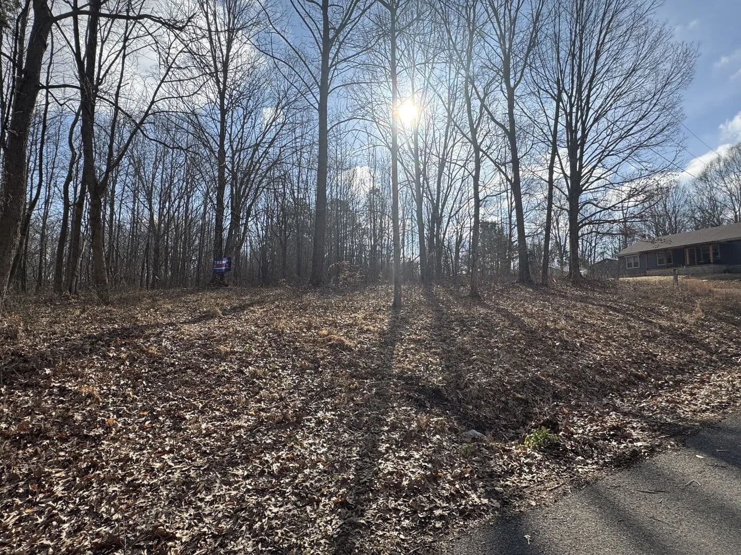 Vacant Land in Bumpus Mills - Bumpus Mills, Tennessee, 37028