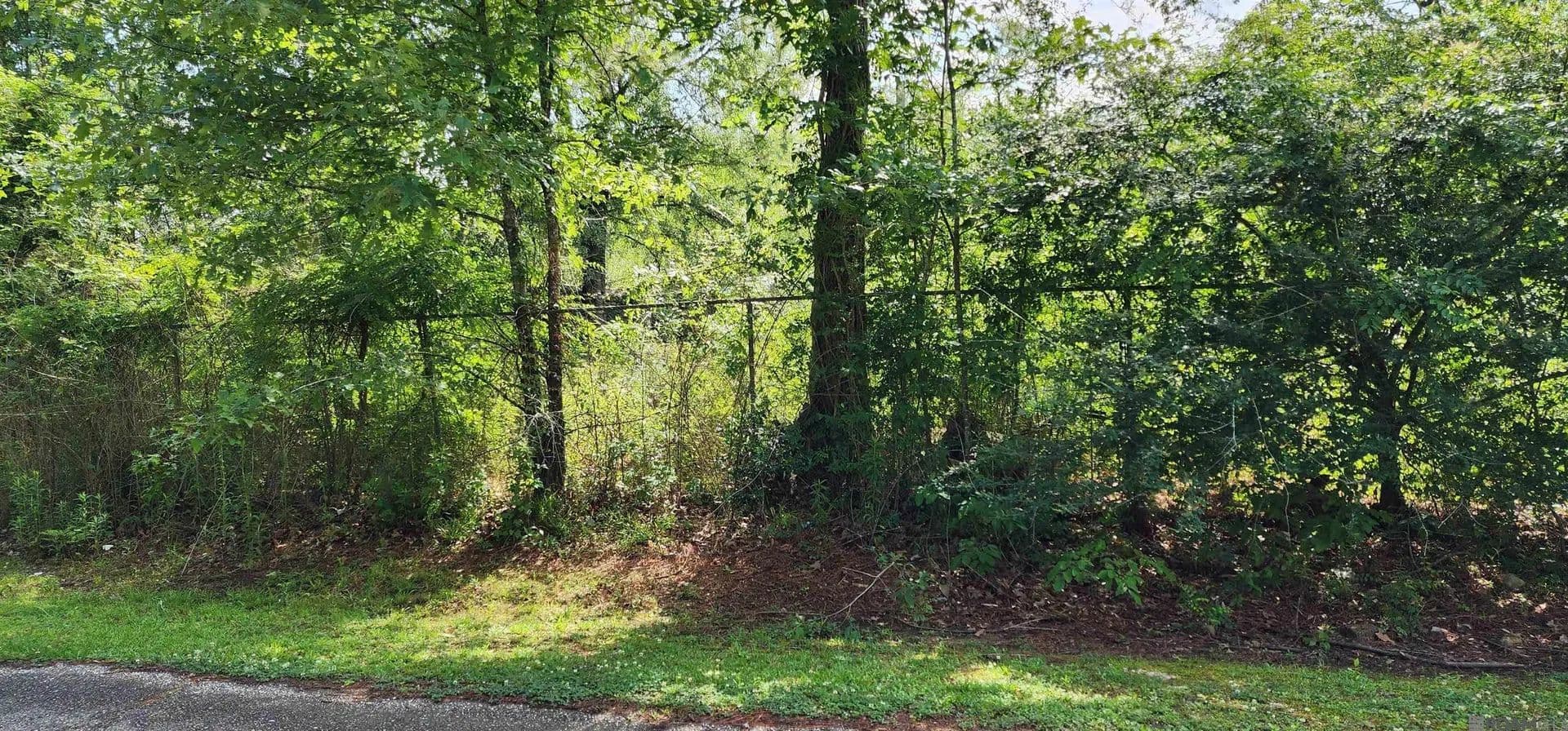 Property from 20975 Vincent Acres Cir - KW - Denham Springs, Louisiana, 70726