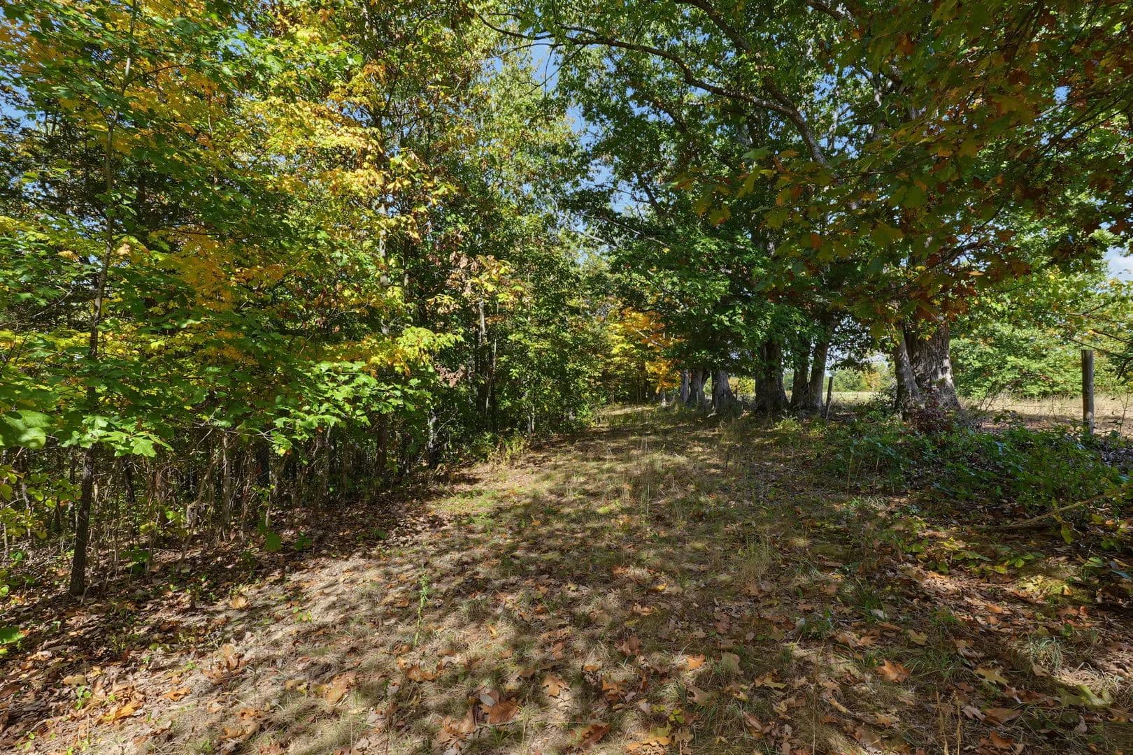 Vacant Land (10+ Acres) in Demossville, - Kentucky, 41033