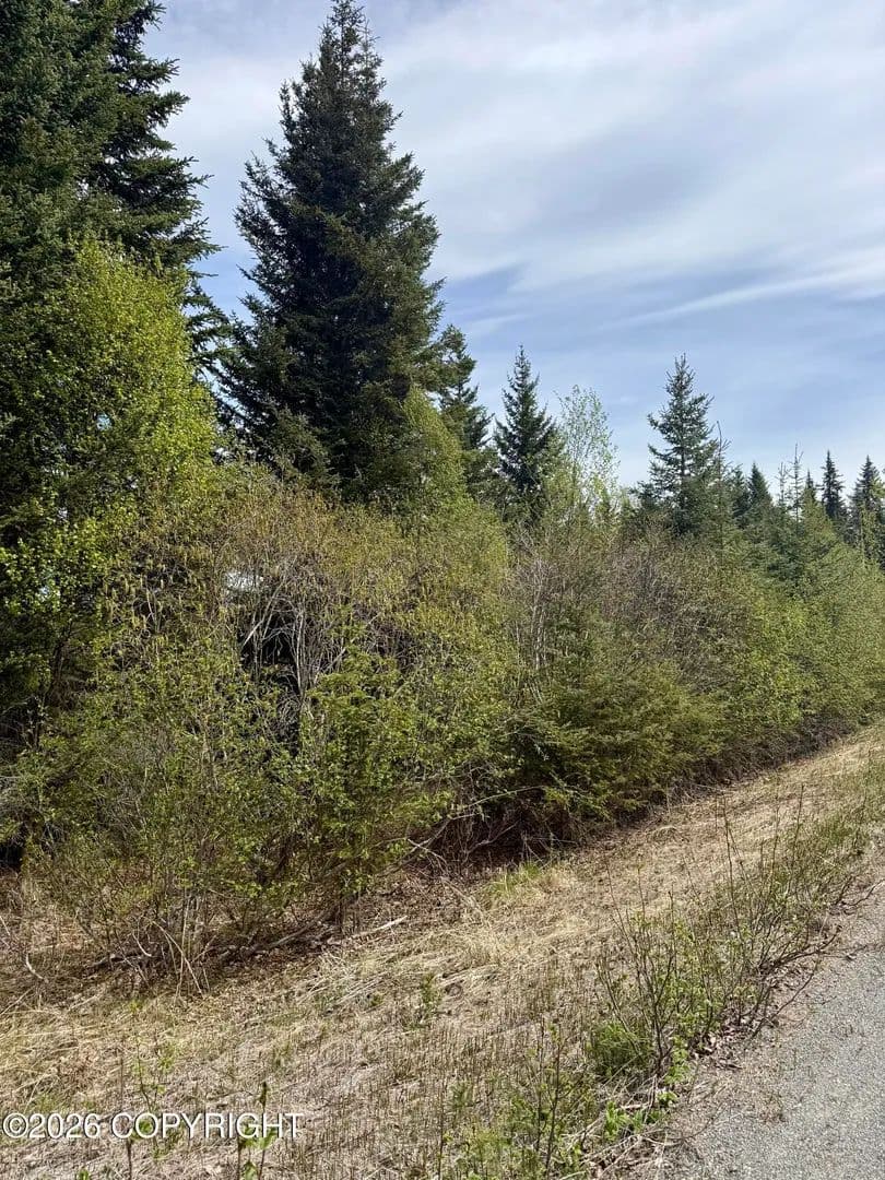 Property from 37334 Rogue Circle - KW - Anchor Point, Alaska, 99556