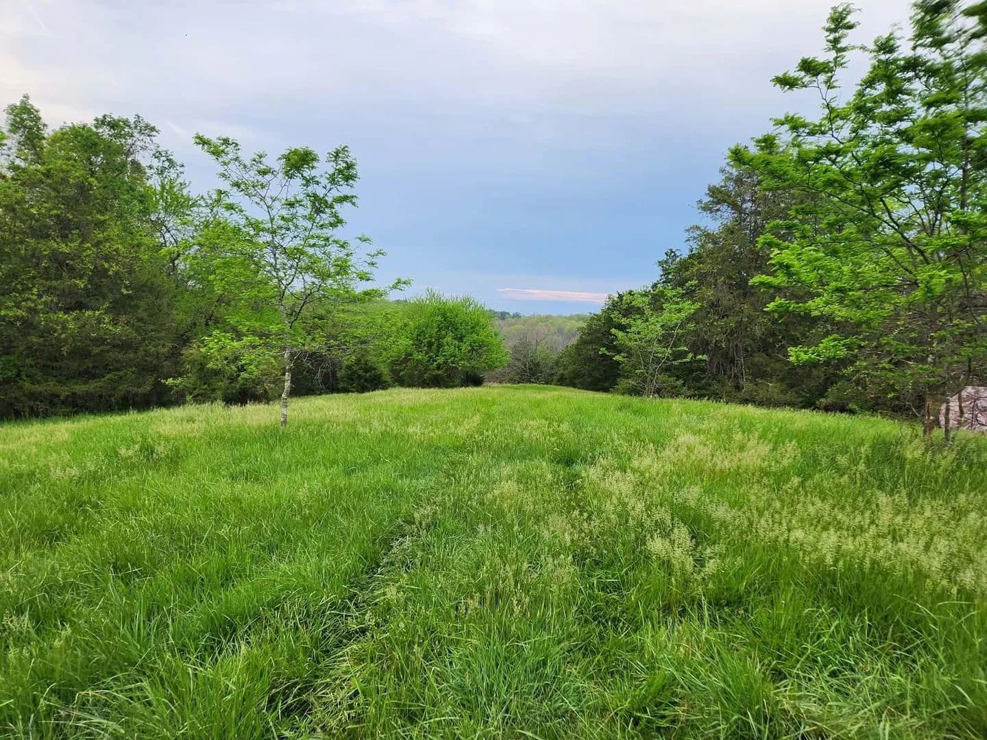 Property from 200 Bobtown Road - KW - Cynthiana, Kentucky, 41031