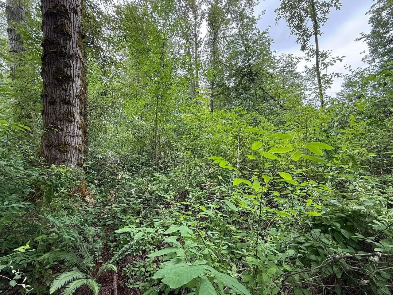 2.460 acres in Renton (BENSON HILL) - Renton, Washington, 98055
