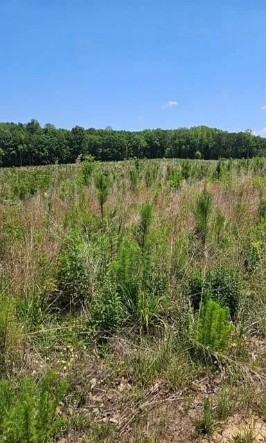 Property from 659 Old Mansion Road - KW - Lunenburg, Virginia, 23952