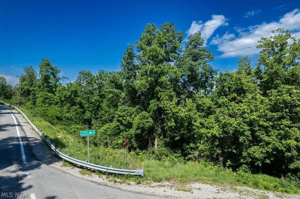 Property from 0 Windy Ridge Road - KW - Elizabeth, West Virginia, 26143