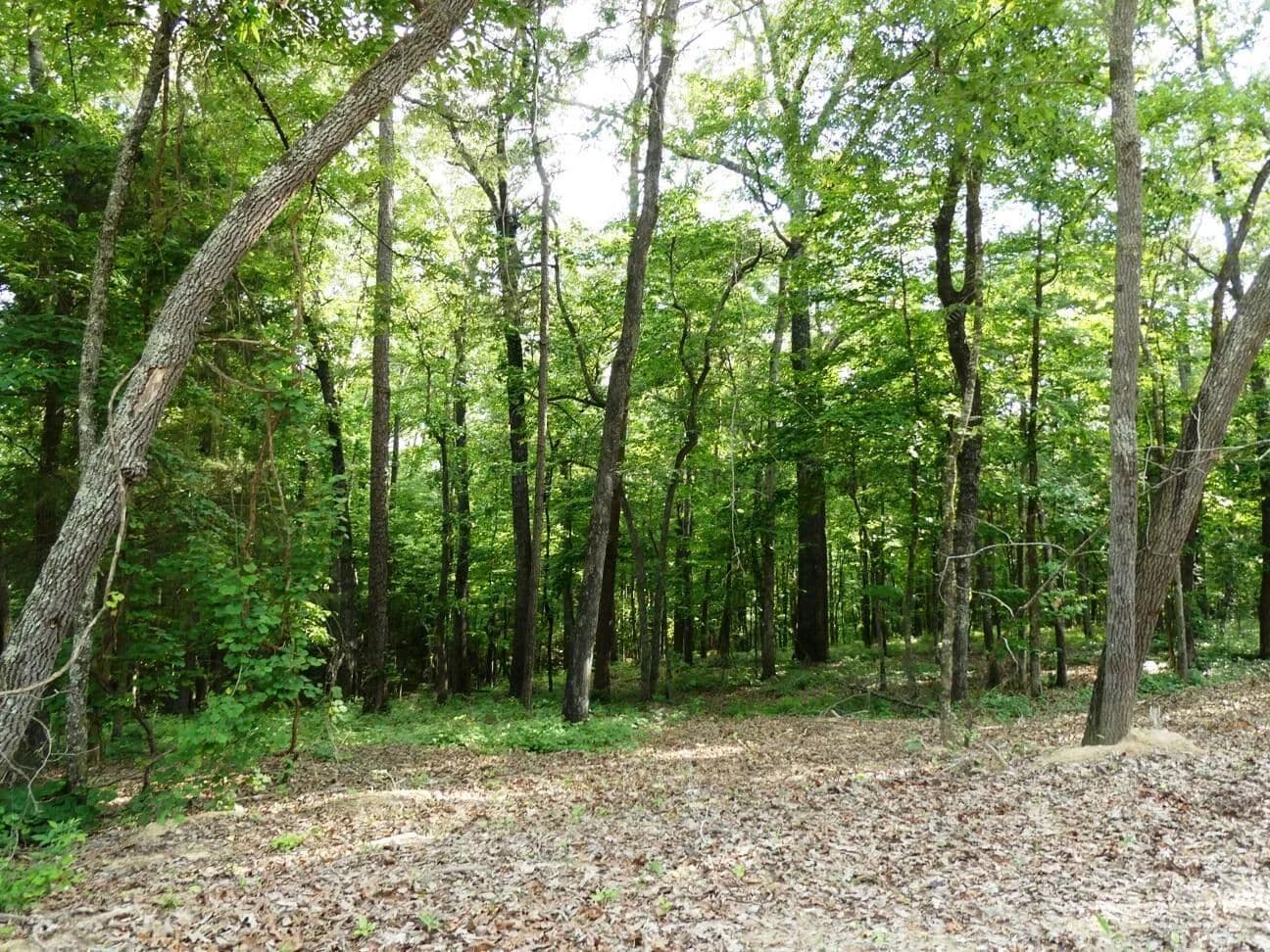 Property from LOT 50 HARBOR LOOP - KW - Jasper, Alabama, 35504