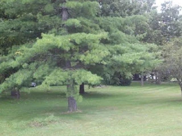 Property from 11810 Love Road - KW - Roscoe, Illinois, 61073