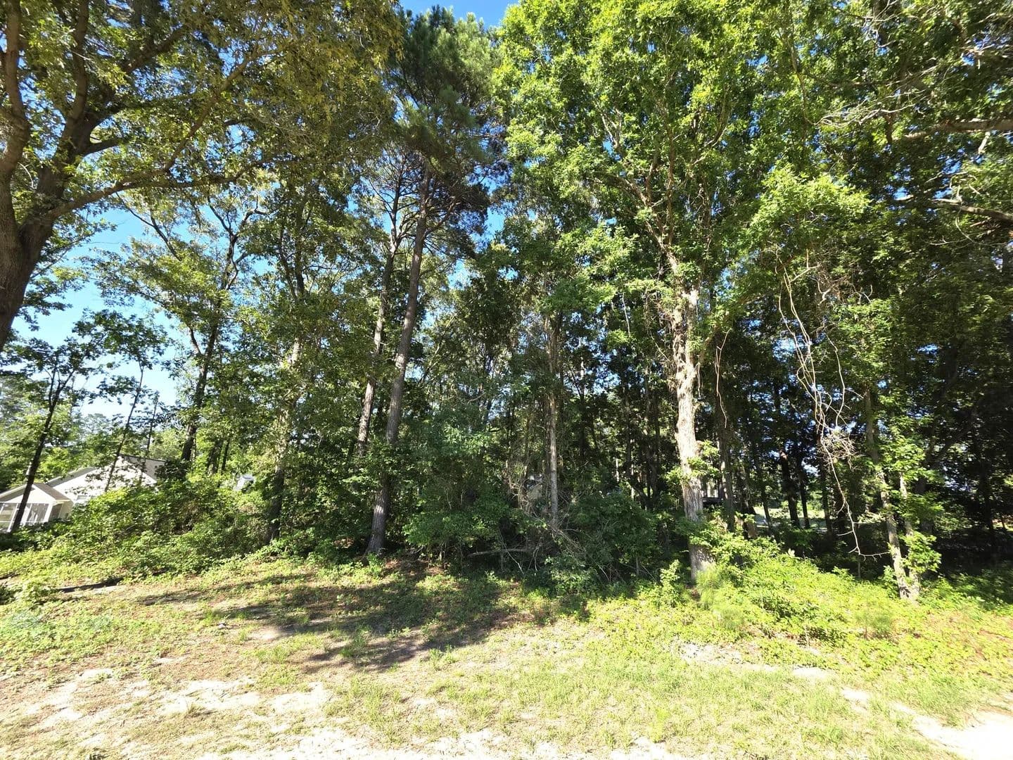 Property from 130 Green Court - KW - Santee, South Carolina, 29142