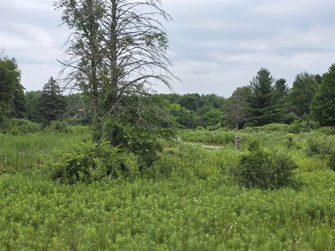 Property from 6172 Lake - KW - Barryton, Michigan, 49305