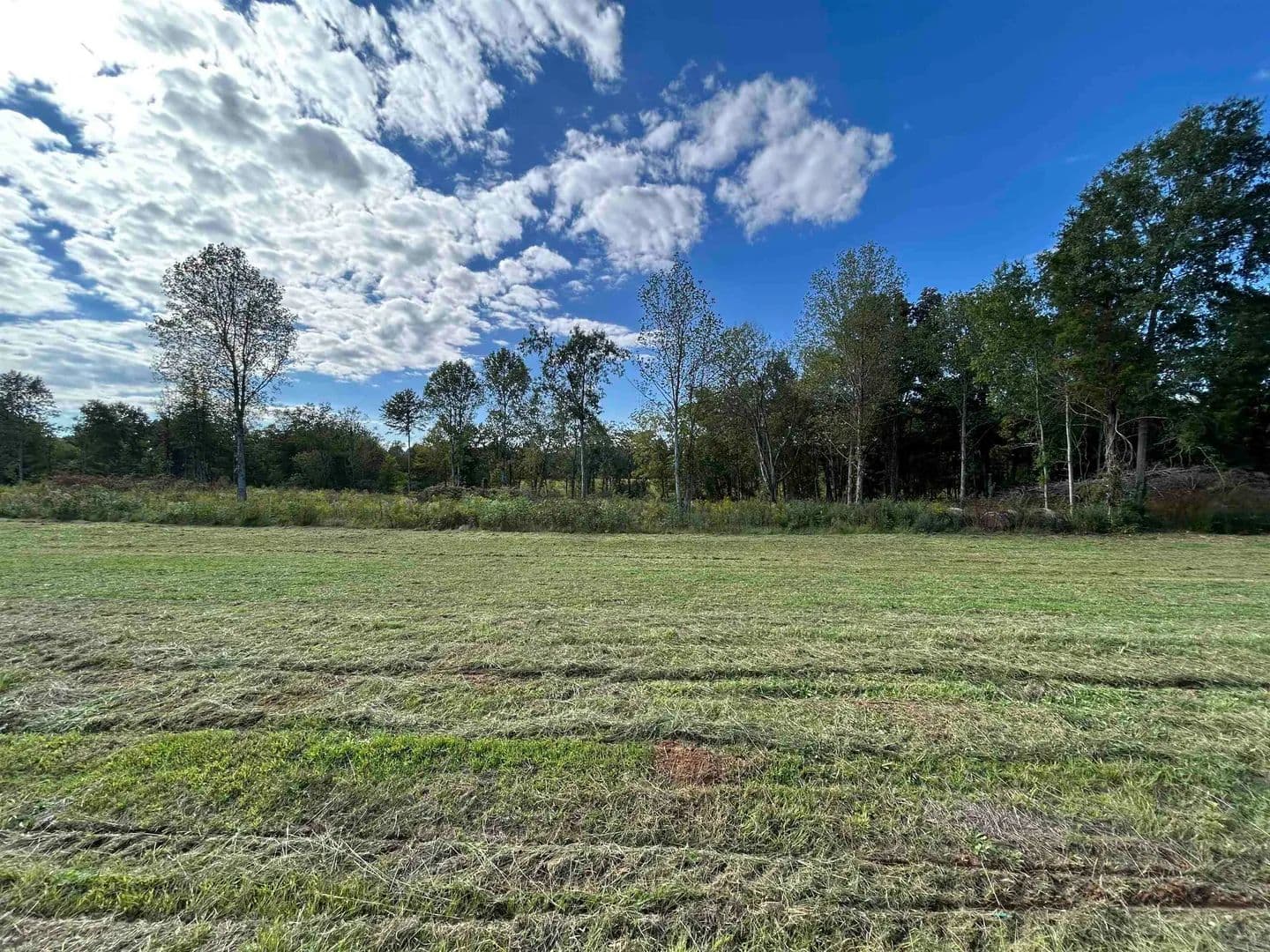 Property from LOT 35 CORDOVA CV - KW - Savannah, Tennessee, 38372