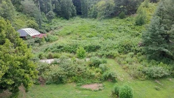 Property from 440 Big Spring Hollow Rd - KW - Pulaski, Tennessee, 38478