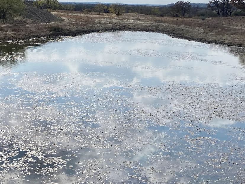 New Listing!!! 140+/-Ac. 14500 CR 129. Brown County