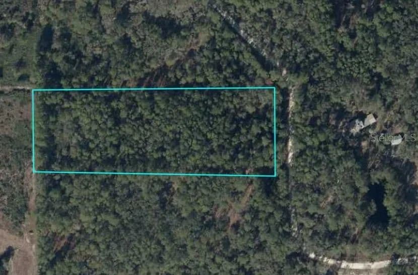 Lots & Land-Other in TRENTON - Trenton, Florida, 32693