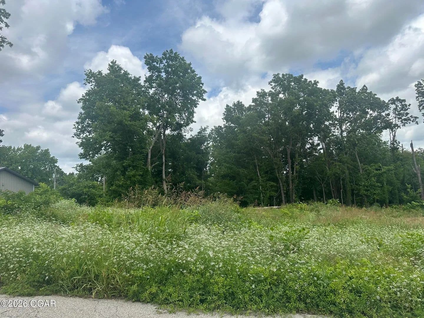 Property from Lot 17 Cresswell Avenue #17 - KW - Joplin, Missouri, 64801