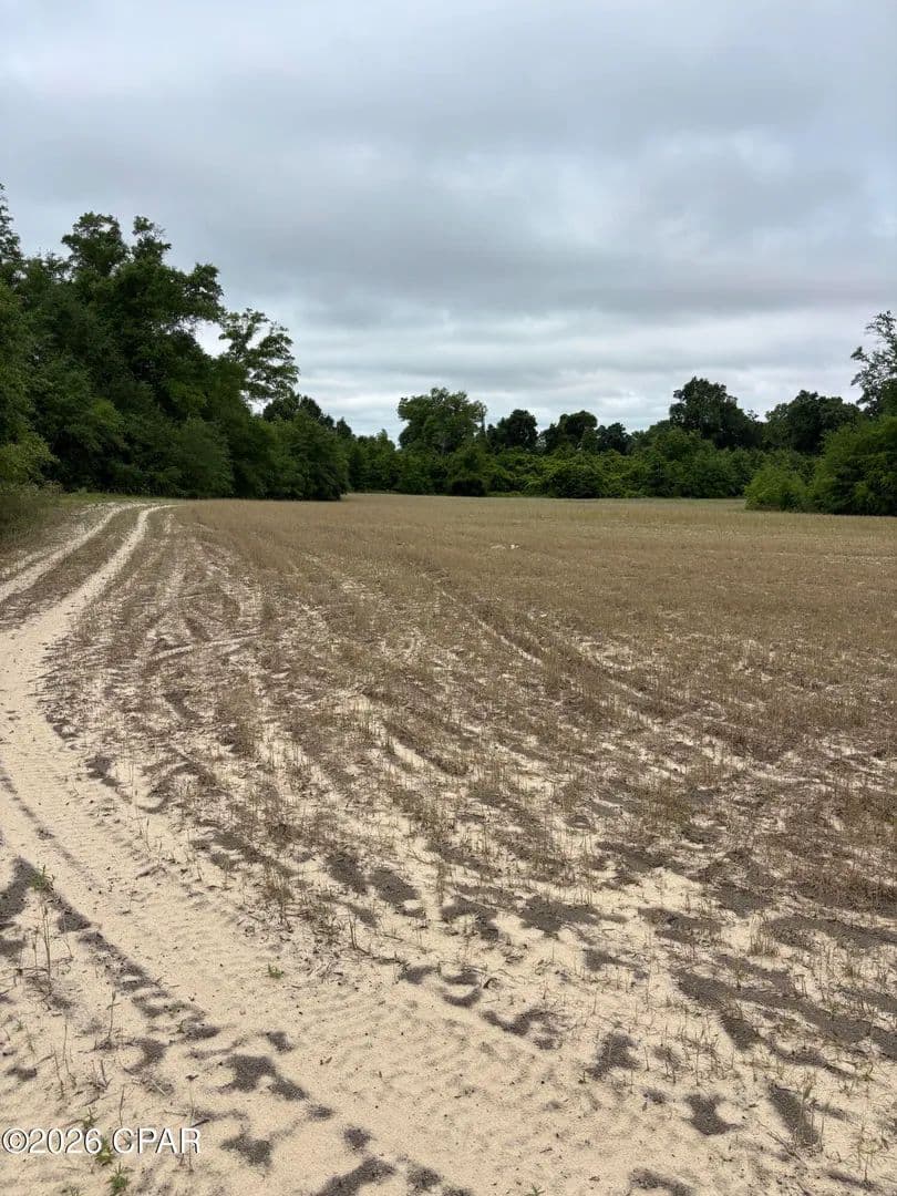 Property from TBD Blue Springs Road - KW - Greenwood, Florida, 32443