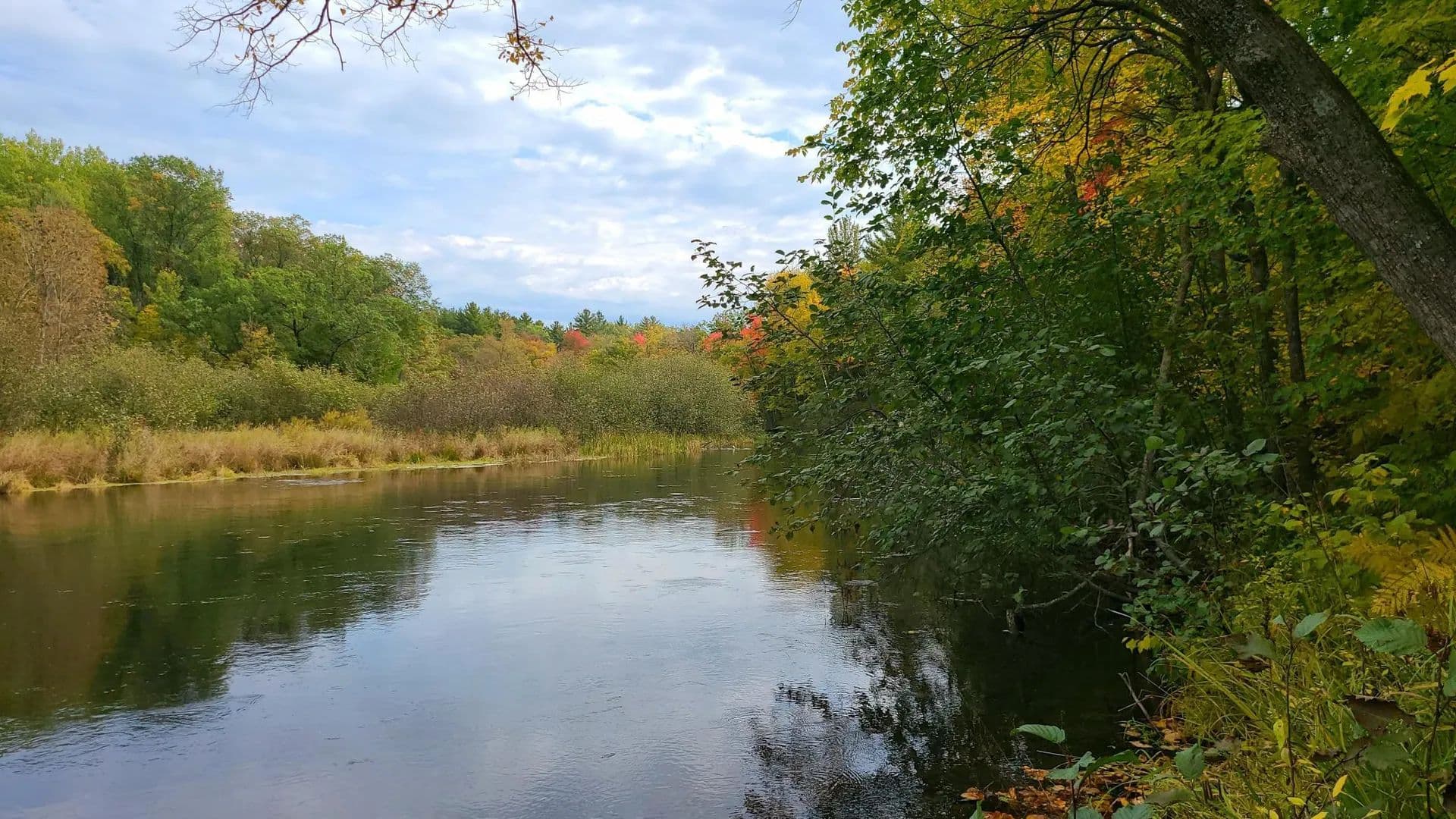 Vacant Land in Webster - land for sale