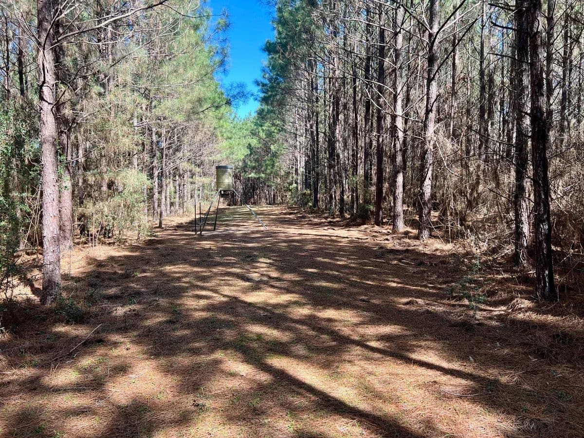 Ener Plantation - Yellowpine, Texas, 75961