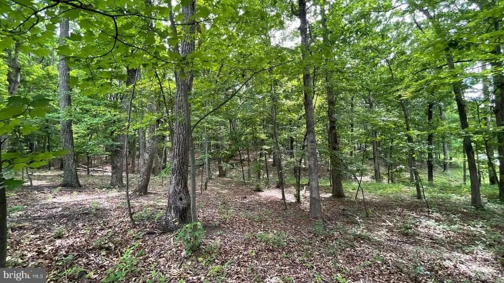 Property from LOT 61 BRISTOL SPRINGS WAY - KW - Slanesville, West Virginia, 25444