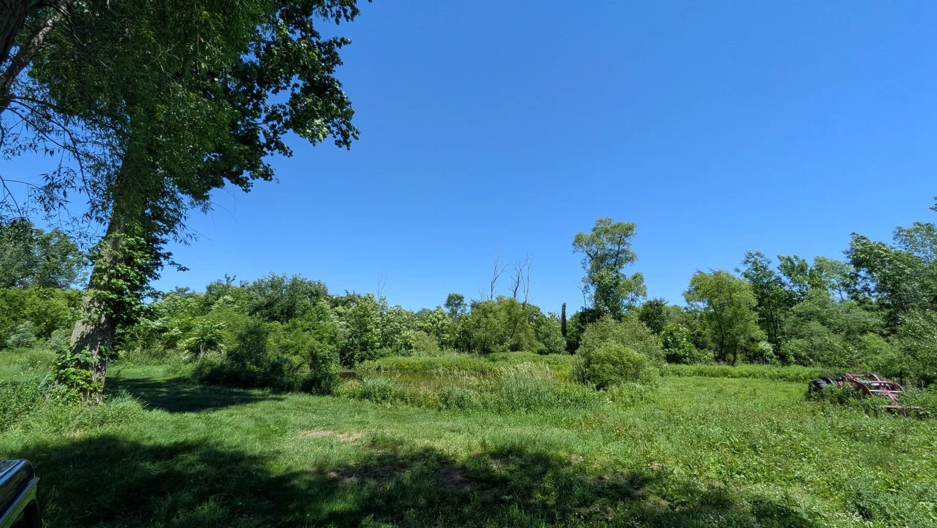 Property from 113th Avenue - KW - Fennville, Michigan, 49408