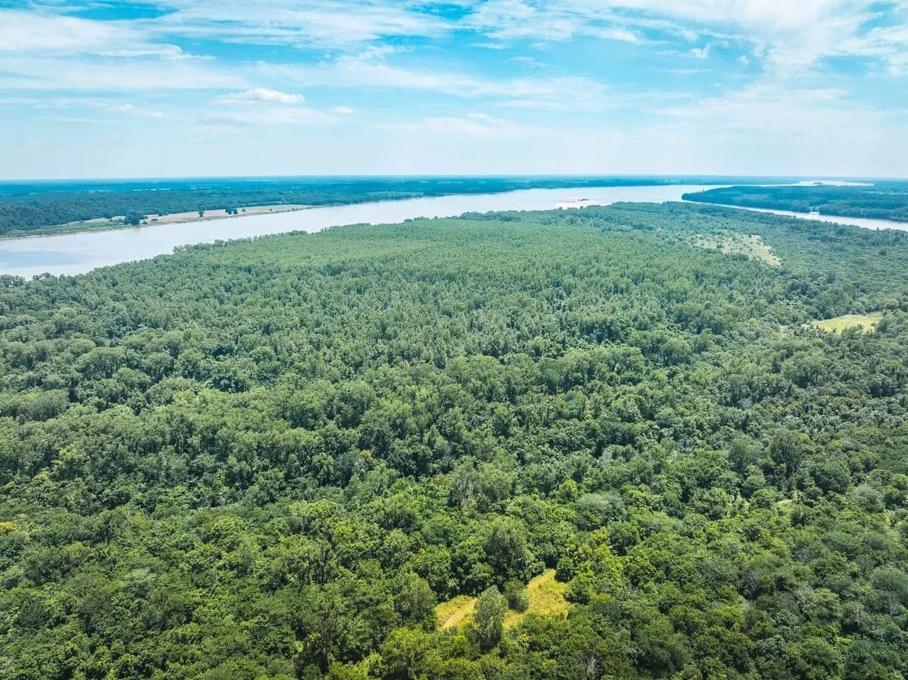 Trailhead Preserve on the 8 and Middle Bar Islands in Hickman, Kentucky - photo 57