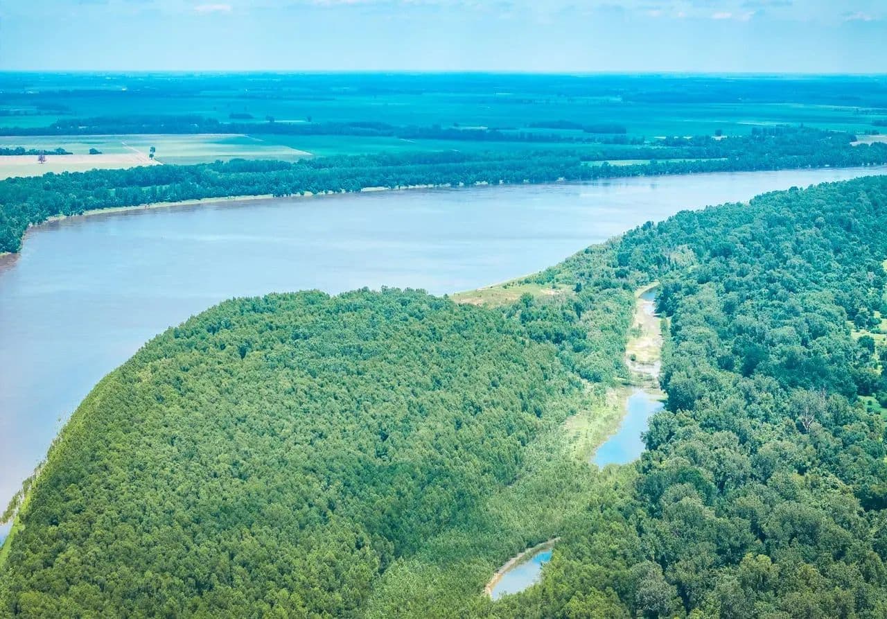 Trailhead Preserve on the 8 and Middle Bar Islands in Hickman, Kentucky - photo 18
