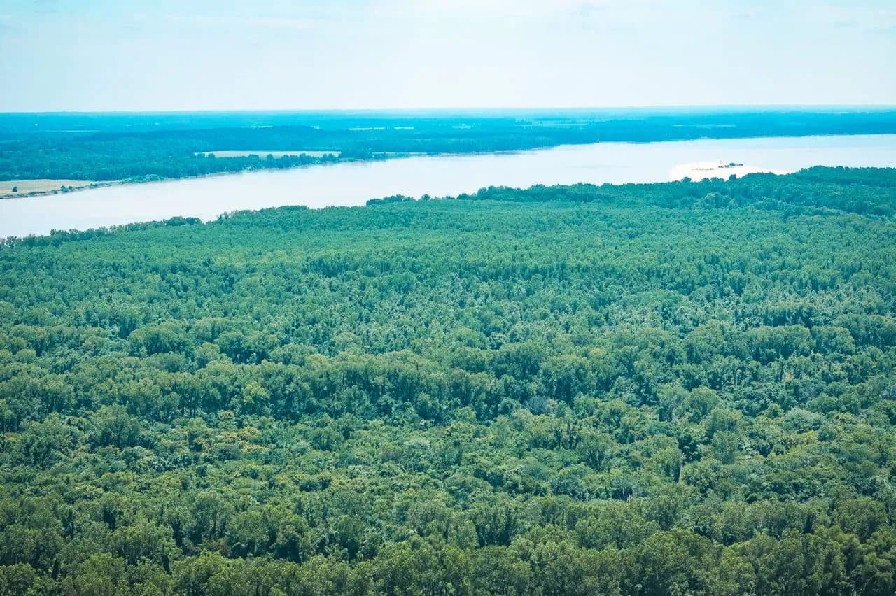 Trailhead Preserve on the 8 and Middle Bar Islands in Hickman, Kentucky - photo 56
