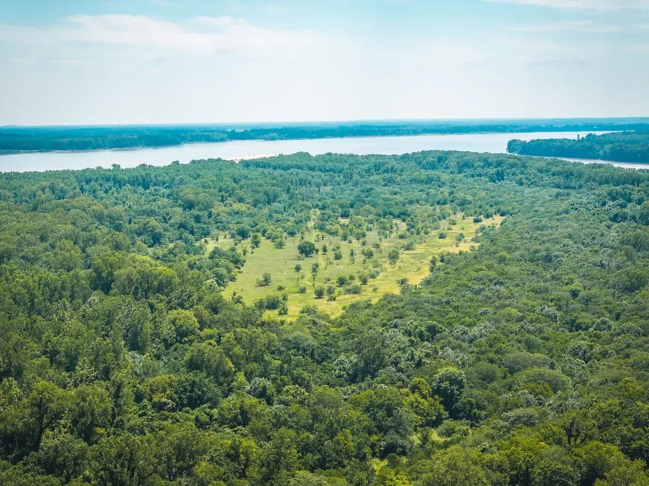 Trailhead Preserve on the 8 and Middle Bar Islands in Hickman, Kentucky - photo 178