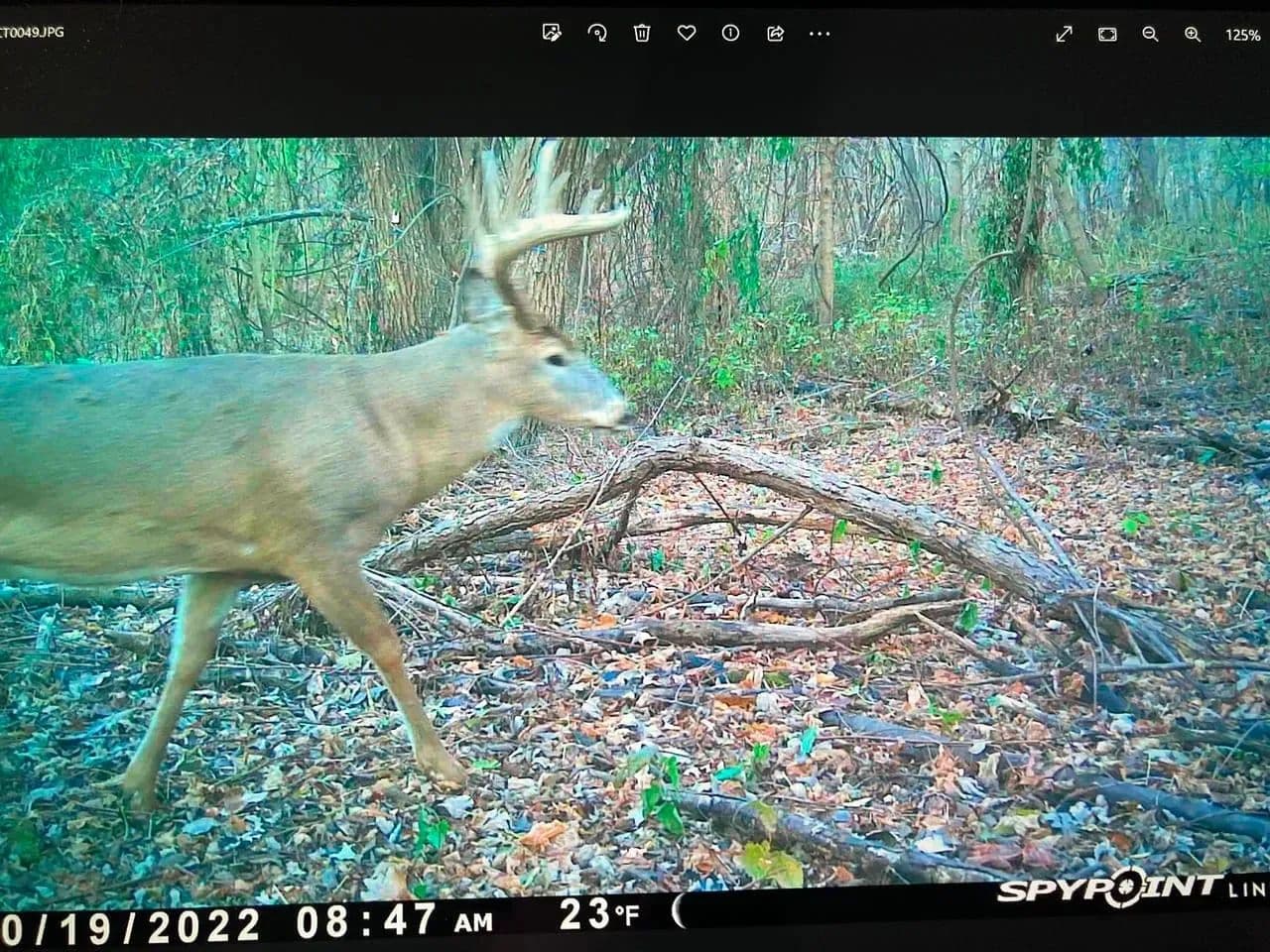 Trailhead Preserve on the 8 and Middle Bar Islands in Hickman, Kentucky - photo 174