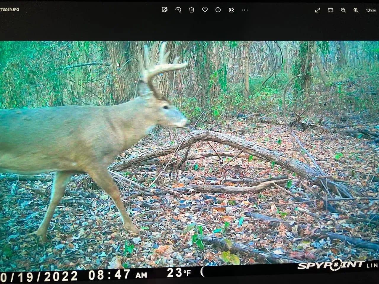 Trailhead Preserve on the 8 and Middle Bar Islands in Hickman, Kentucky - photo 104
