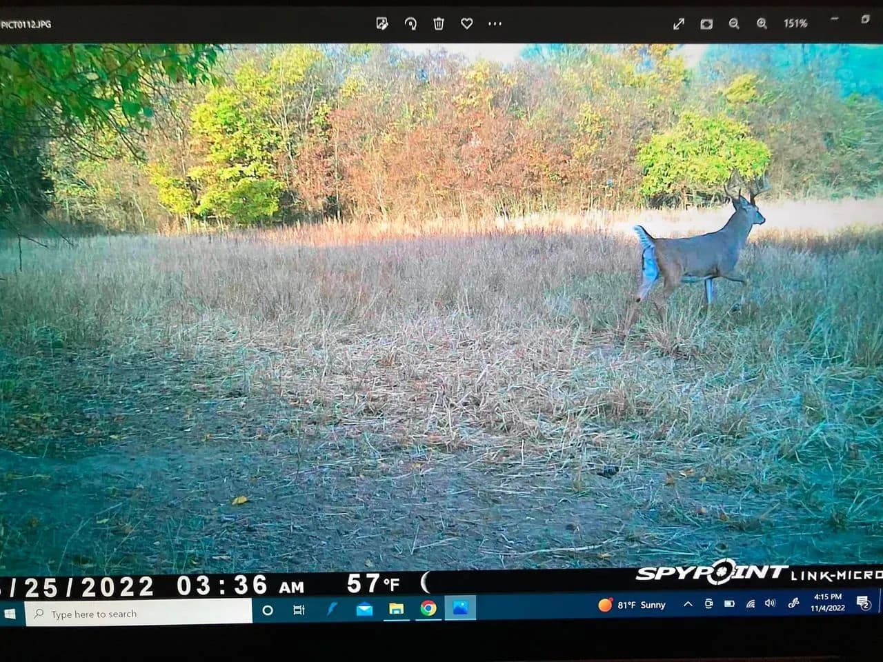 Trailhead Preserve on the 8 and Middle Bar Islands in Hickman, Kentucky - photo 97
