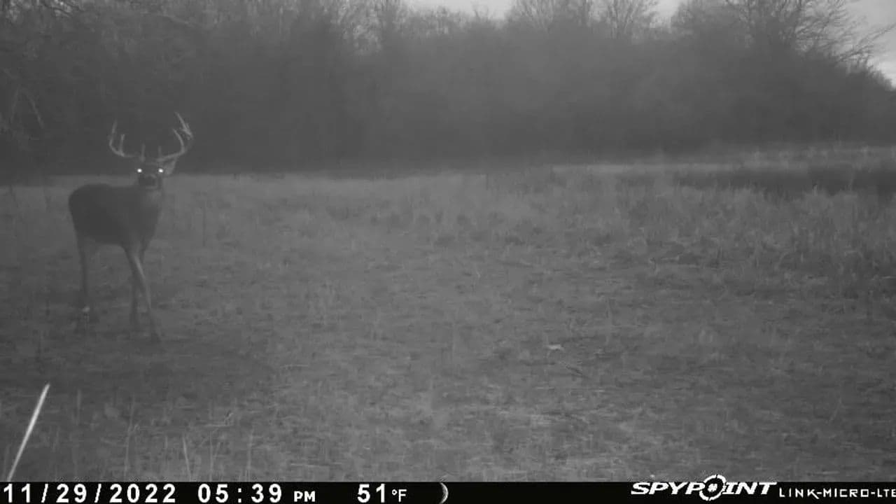 Trailhead Preserve on the 8 and Middle Bar Islands in Hickman, Kentucky - photo 110