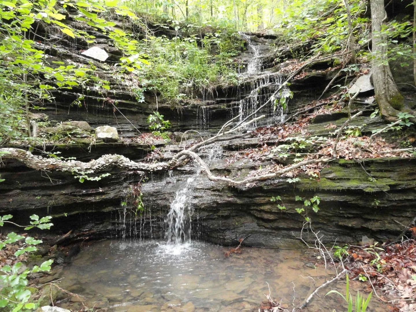 Property from 0000 Holly Mtn. Road - KW - Clinton, Arkansas, 72031