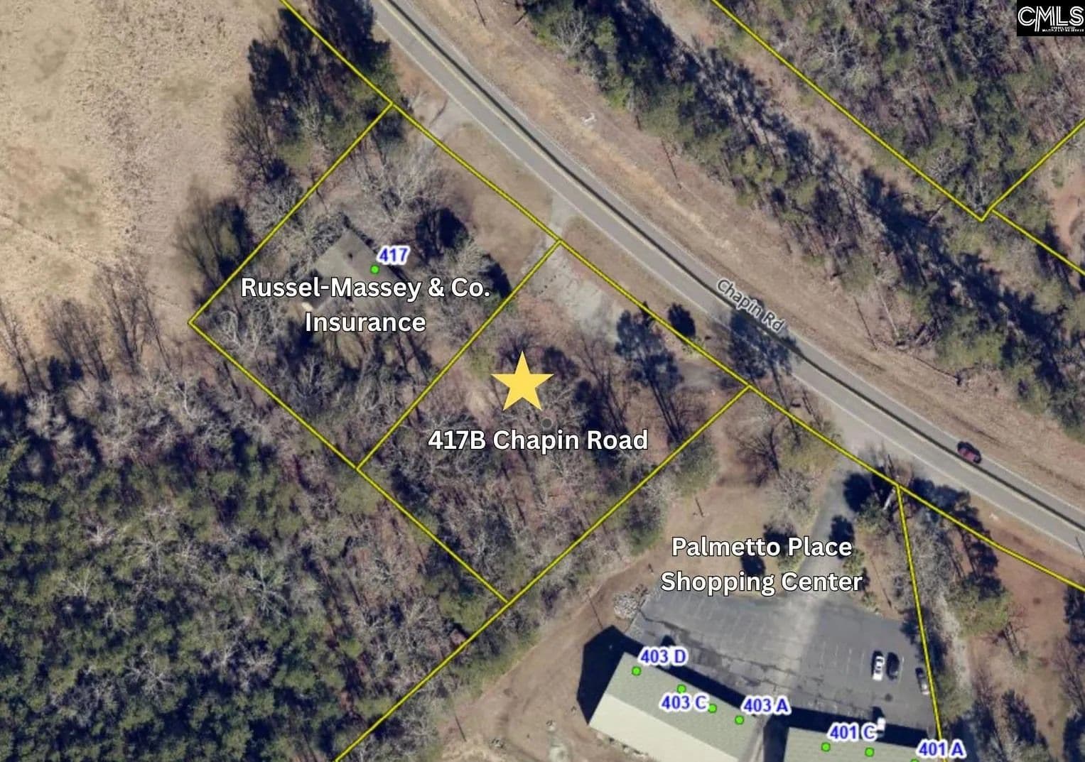 Vacant Land in Chapin - Chapin, South Carolina, 29036
