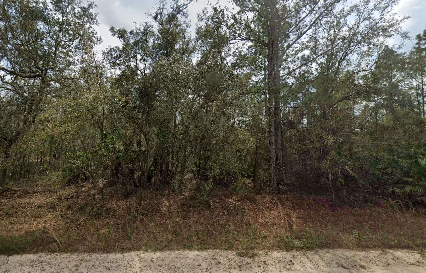 Affordable .22-Acre Florida Lot Near Lakes – Owner Financing Available - land for sale