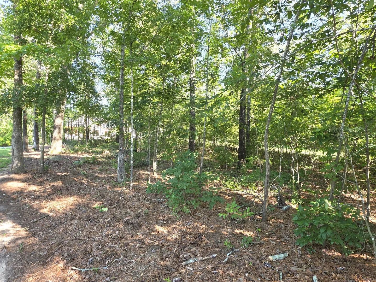 0.41 Acres of Land for Sale in Santee, South Carolina - Santee, South Carolina, 29142