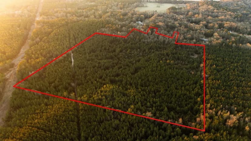 Covington Co. 45 acres