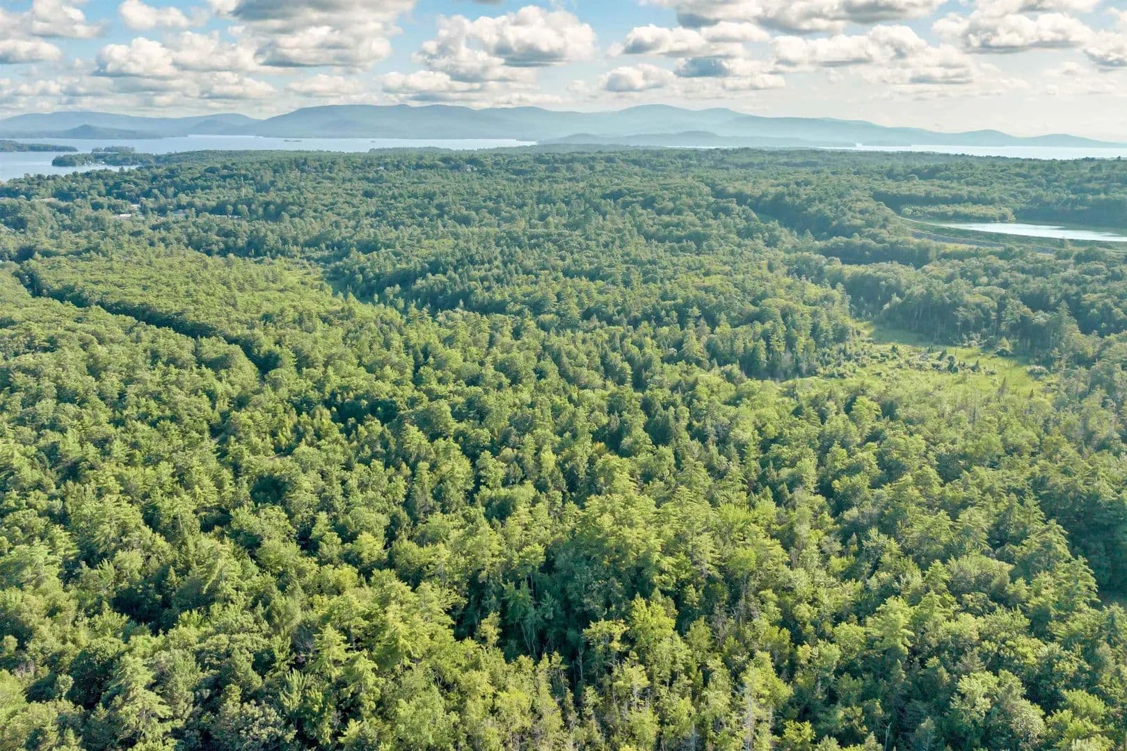 90 Acres of Land for Sale in Wolfeboro, NH - Wolfeboro, New Hampshire, 03894