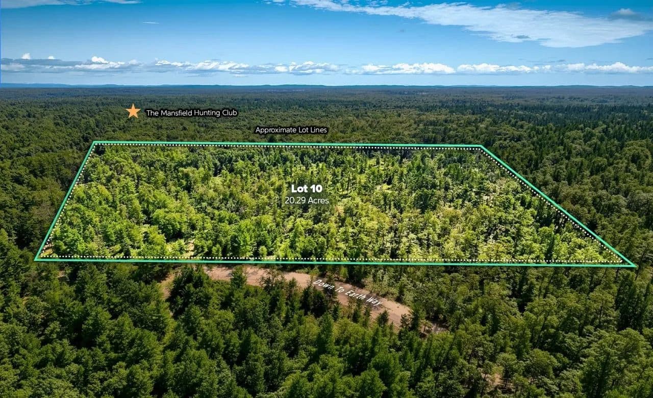 20.23+/- Acre Hunting Property in Ogemaw County MI - land for sale
