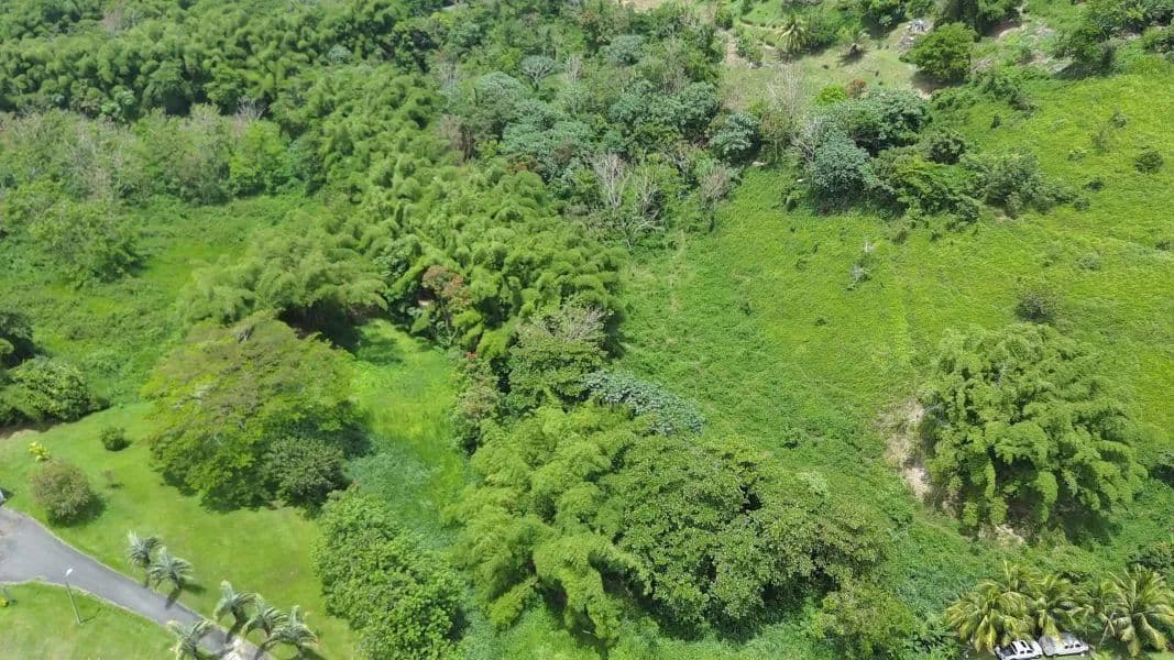 27546 Acres of Land for Sale in Maunabo - land for sale