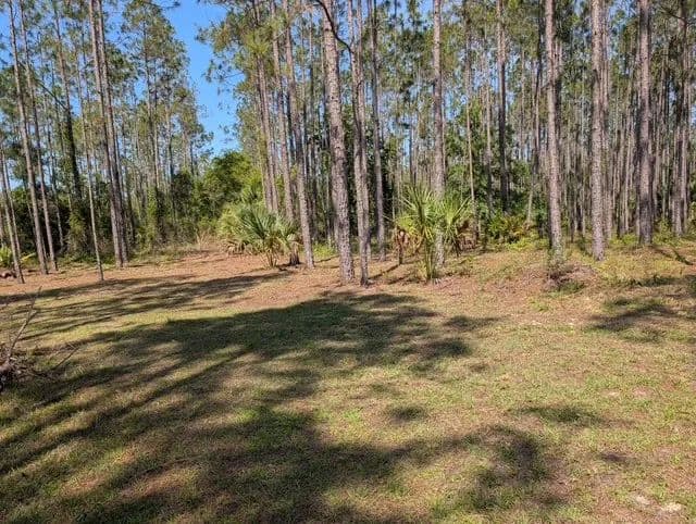 Land -Agricultural (Not Zoned) in Steinhatchee - land for sale