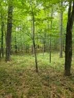 Property from 38 Algonquin Lane - KW - Jay, New York, 12941