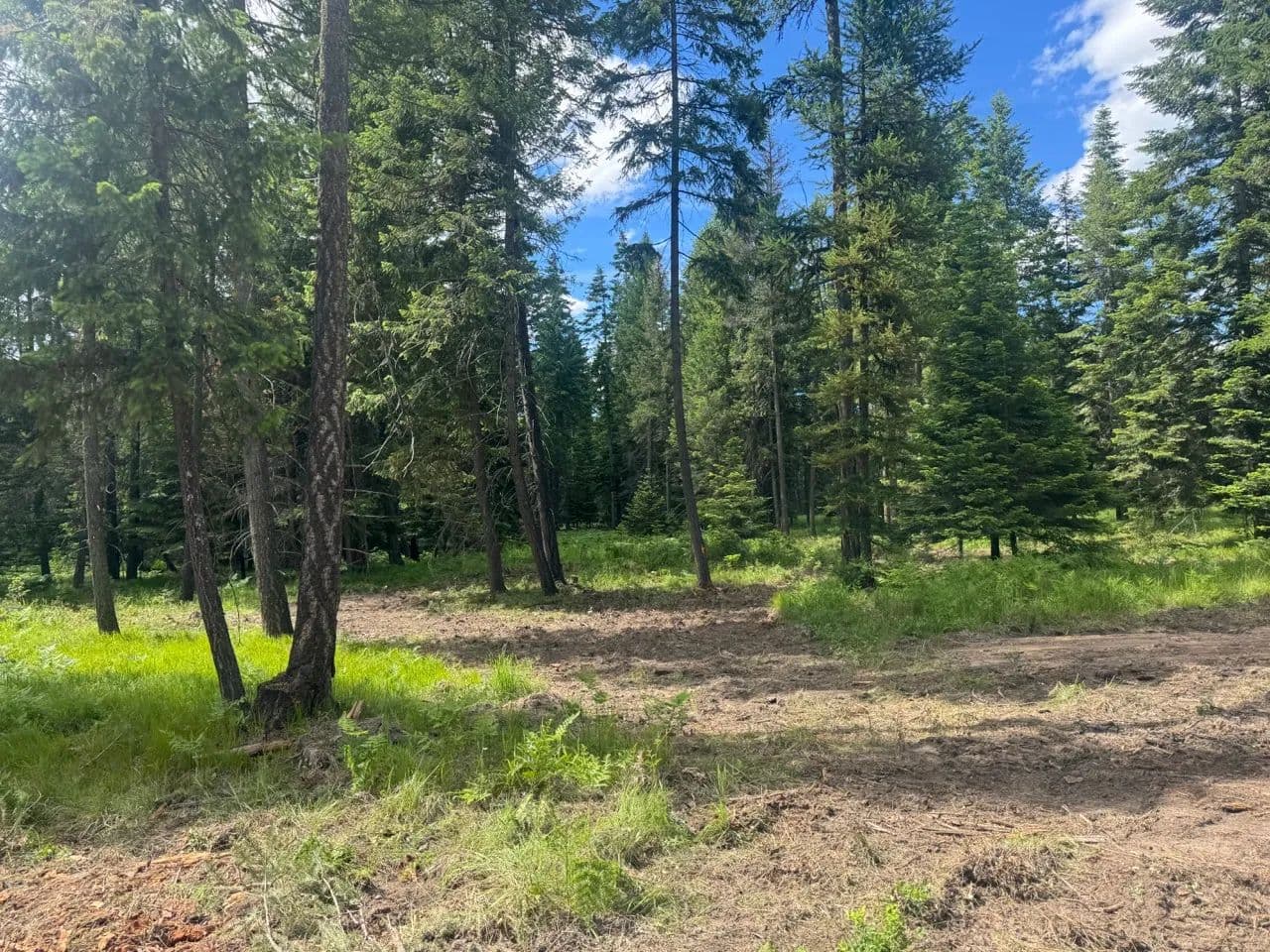 Property from NHN Big Fir Drive - KW - Thompson Falls, Montana, 59873
