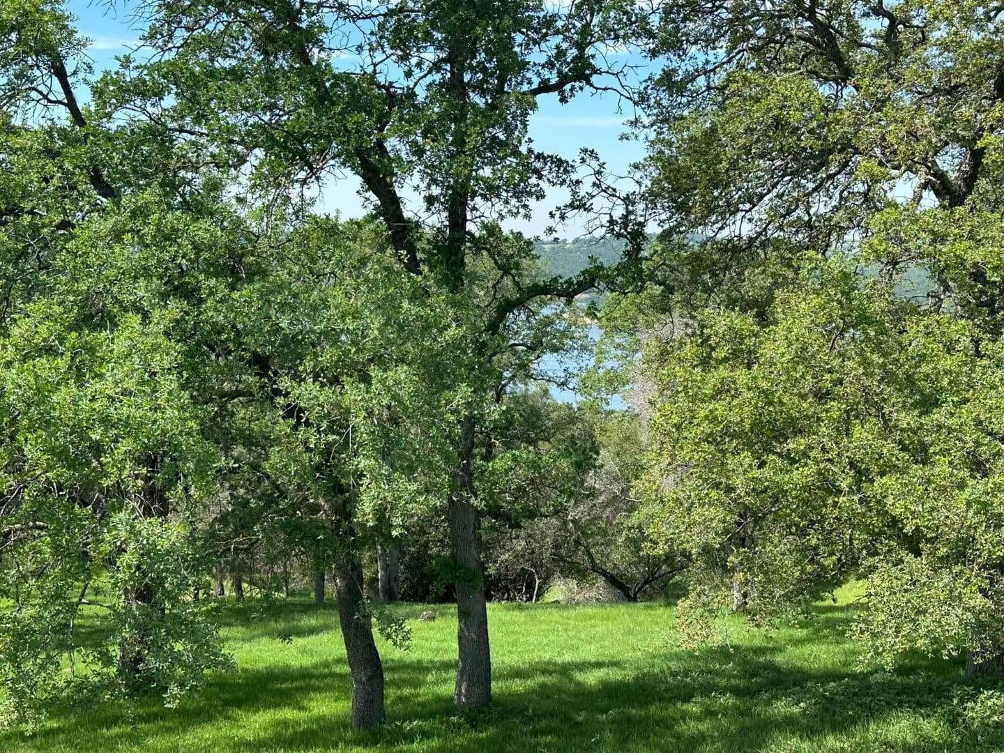 Property from 1118 La Sierra Dr - KW - El Dorado Hills, California, 95762