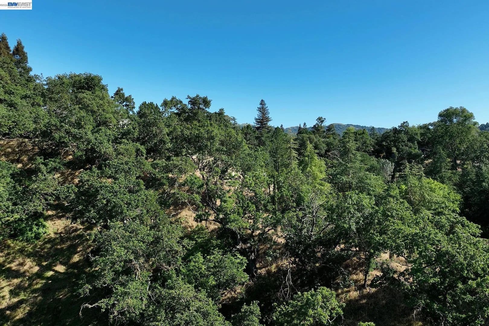 0.92 Acres of Land for Sale in Walnut Creek, California - Walnut Creek, California, 94595